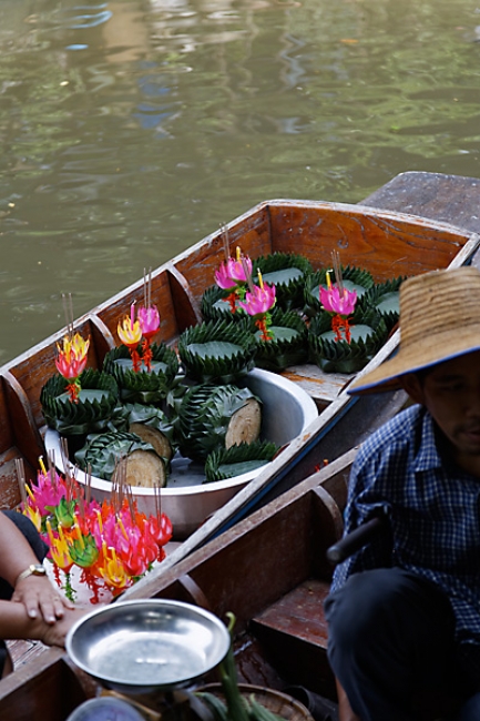 Talin chan-NOV13-053